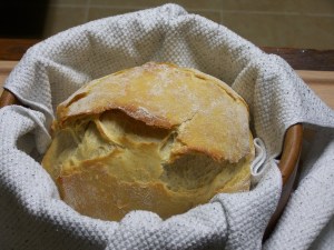 2015-11-15 Gumbo 023